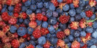 Η Ευρώπη αναδυόμενη αγορά για τα berries