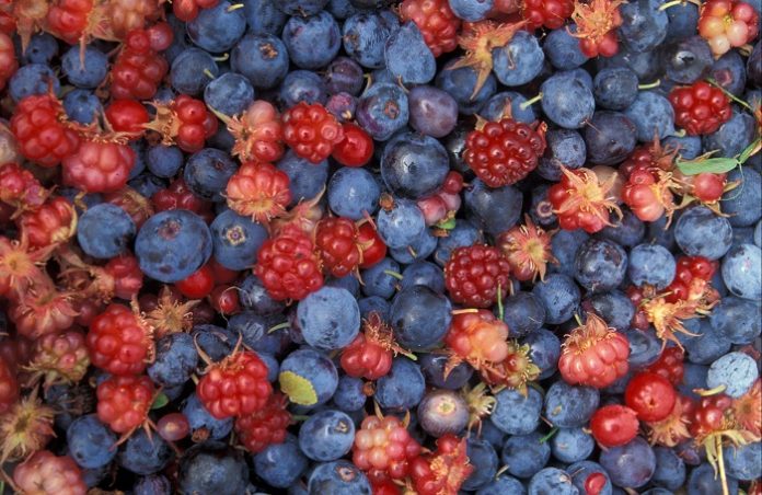 Η Ευρώπη αναδυόμενη αγορά για τα berries Η Ευρώπη αναδυόμενη αγορά για τα berries