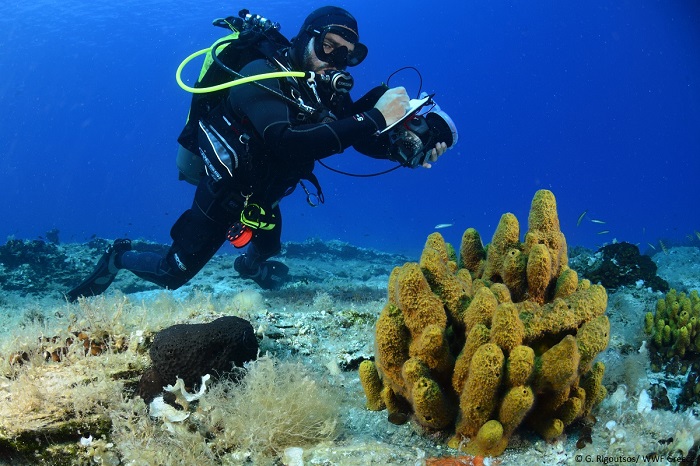 Γυάρος: Εμείς φυλακίζουμε, η φύση ελευθερώνει