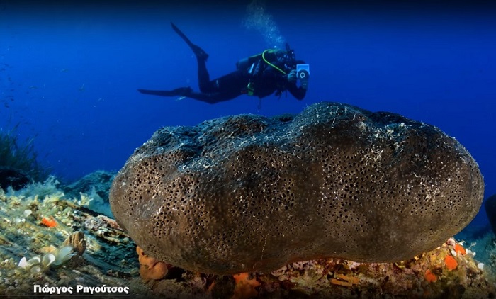 Γυάρος: Εμείς φυλακίζουμε, η φύση ελευθερώνει
