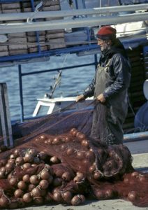 Γυάρος: Εμείς φυλακίζουμε, η φύση ελευθερώνει