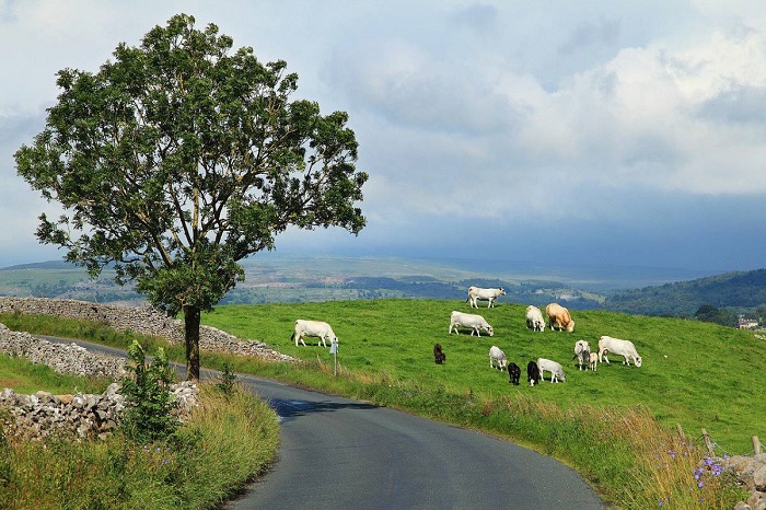 Τα μνημόνια, η Ιρλανδία και εμείς