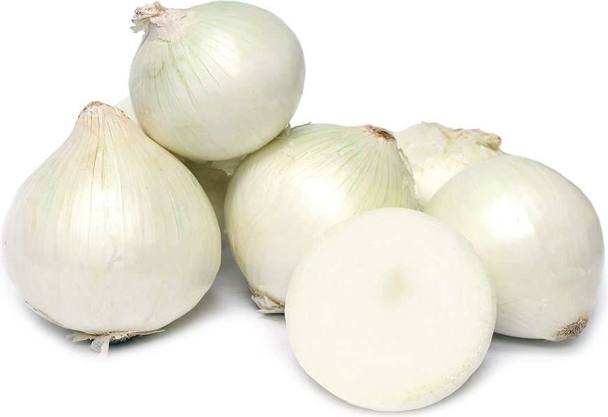 katakoryfi-ptosi-timis-gia-to-lefko-kremmydi-sti-voiotia-33127