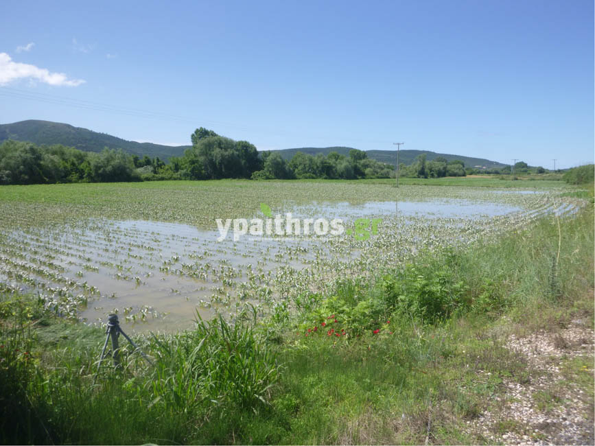 Το ypaithros.gr στο τόπο της καταστροφής