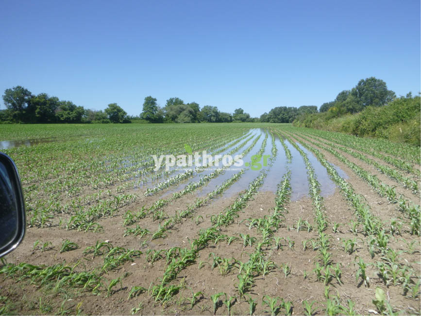 Το ypaithros.gr στο τόπο της καταστροφής