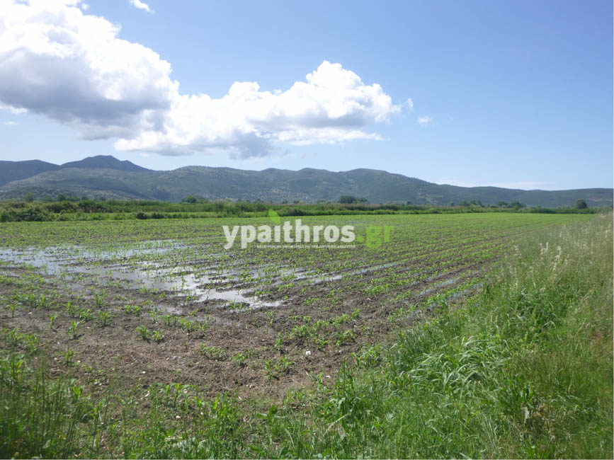 Το ypaithros.gr στο τόπο της καταστροφής