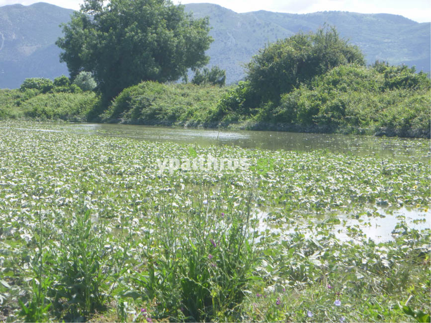 Το ypaithros.gr στο τόπο της καταστροφής