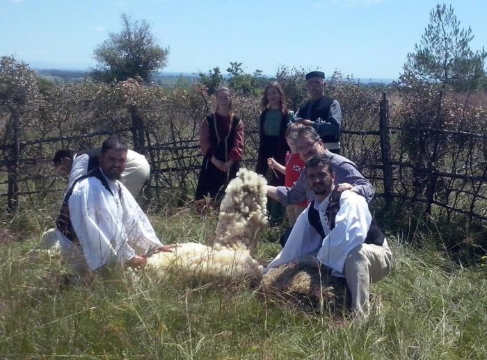 pieria-anaviose-i-paradosiaki-giorti-kouras-ton-provaton-32267