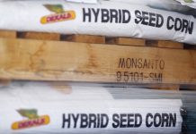 Λέει «όχι» στα 62 δισ. δολάρια της Bayer η Monsanto