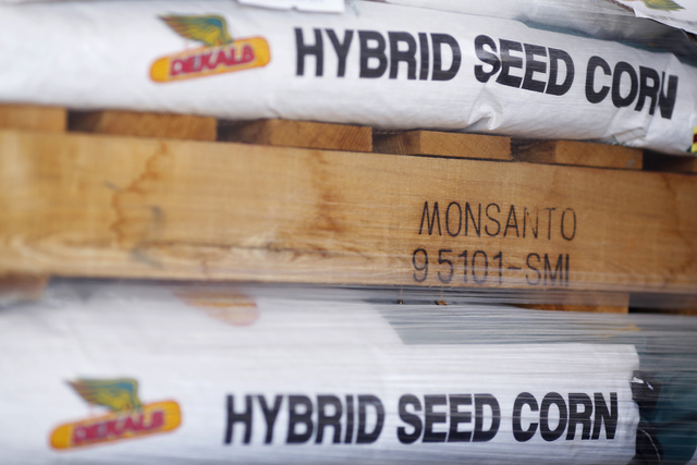 leei-ochi-sta-62-dis-dolaria-tis-bayer-i-monsanto-33676