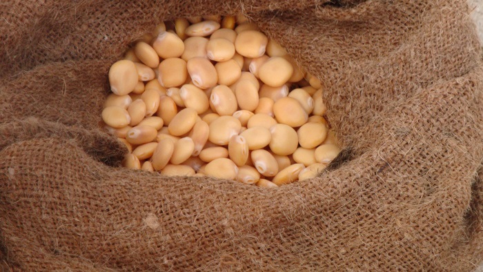 nisyros tis lavas kai tou pelagos