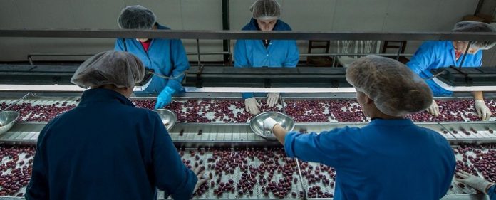 Ολύμπια - ΧΕΝΙΑ ΑΒΑΕ «Ταξιδεύει» τα ελληνικά προϊόντα σε ολόκληρο τον κόσμο Ολύμπια - ΧΕΝΙΑ ΑΒΑΕ «Ταξιδεύει» τα ελληνικά προϊόντα σε ολόκληρο τον κόσμο