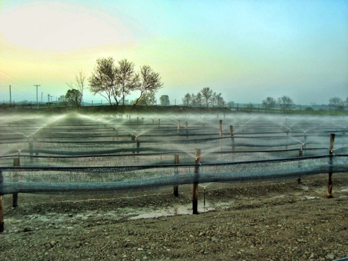 Υποχρεώσεις δικαιούχων σημείων υδροληψίας που κάνουν αγροτική χρήση ύδατος
