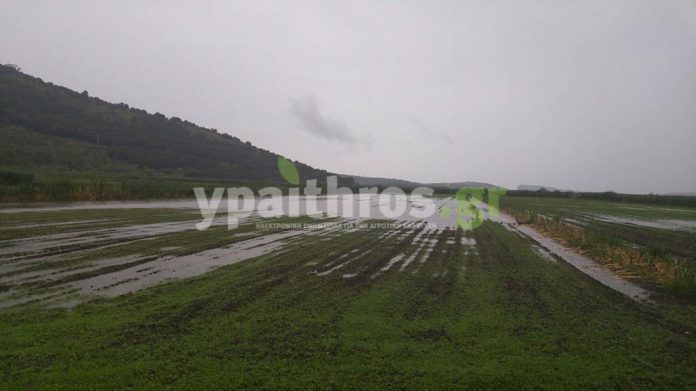 Ανυπολόγιστες καταστροφές από σφοδρή βροχόπτωση στην Ήπειρο. Πλημμύρισε ο Αχέροντας Ανυπολόγιστες καταστροφές από σφοδρή βροχόπτωση στην Ήπειρο. Πλημμύρισε ο Αχέροντας
