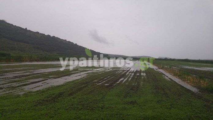 Ανυπολόγιστες καταστροφές από σφοδρή βροχόπτωση στην Ήπειρο. Πλημμύρισε ο Αχέροντας