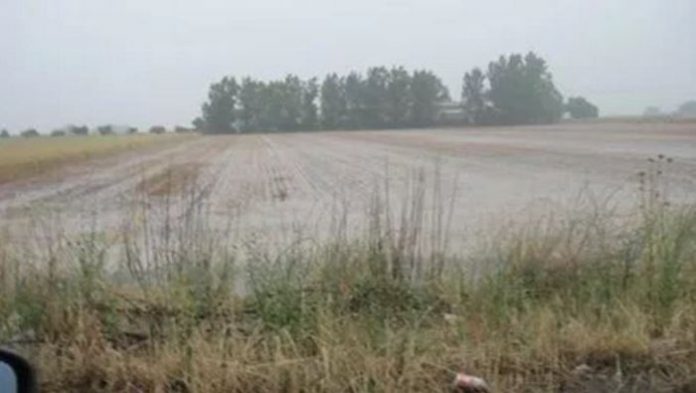 Τεράστιες ζημιές στα χωράφια από τη νεροποντή στη Θεσσαλία