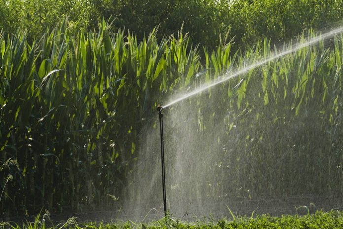 TP Organics: Η τεχνολογική πλατφόρμα βιολογικών που ενημερώνει και στηρίζει