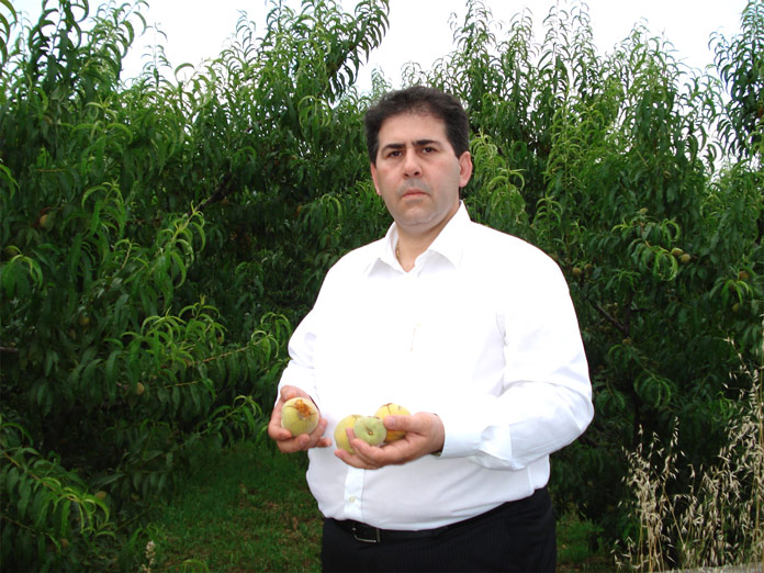 i-tzamtzis-apaiteitai-neo-nomiko-plaisio-kai-nees-domes-eborias-agrotikon-proionton-31460