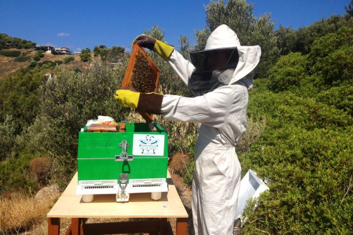 Ανακοίνωση της ΔΑΟΚ ΠΕ Λακωνίας για τους μελισσοκόμους της περιοχής