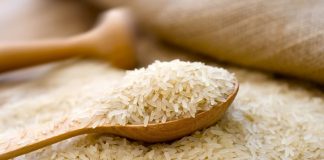 300.000 στρέμματα ρυζιού οι εκτιμήσεις φέτος στην Θεσσαλονίκη