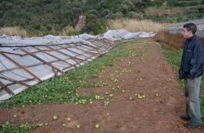 Περιφέρεια ΔΕ: Παρέμβαση για την καθυστέρηση εκτιμήσεων ζημιών από εκτιμητές ΕΛΓΑ