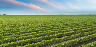 Demeter: Καινοτόμος πρόταση για την αειφόρο γεωργία στα πλαίσια του Horizon 2020