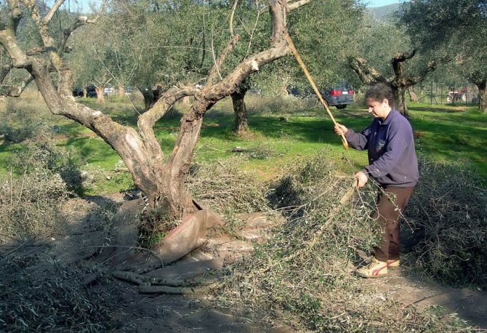 Αρχίστε τις μεταβιβάσεις για να σώσετε συντάξεις Αρχίστε τις μεταβιβάσεις για να σώσετε συντάξεις