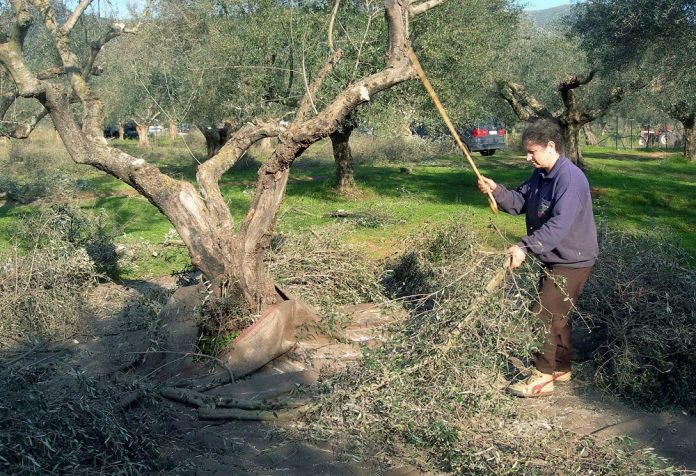 Αρχίστε τις μεταβιβάσεις για να σώσετε συντάξεις