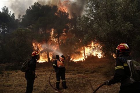 pyrkagia-se-dasiki-ektasi-stin-preveza-39340