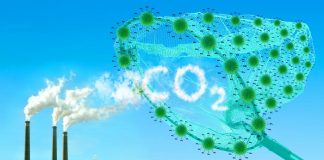 Δέσμευση του άνθρακα