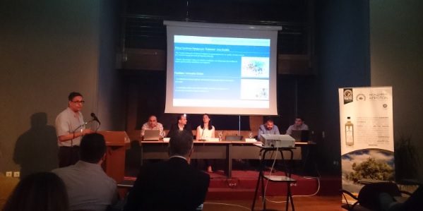 Ελαιοπαραγωγή: Ακαδημία Αγροτών για καλές γεωργικές πρακτικές 