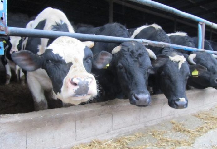 ΟΠΕΚΕΠΕ: Πληρωμές στην κτηνοτροφία για γενετικούς πόρους ύψους περίπου 11,8 εκατ. ευρώ