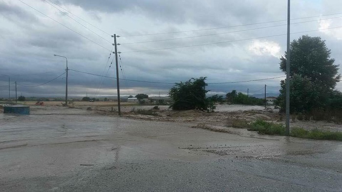 Επλήγησαν καλλιέργειες στον Νομό Ροδόπης