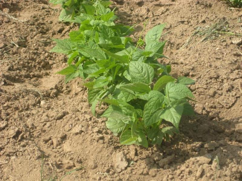 ta-mystika-epitychias-tou-neou-agroti-pou-ependyse-sta-ospria-38971