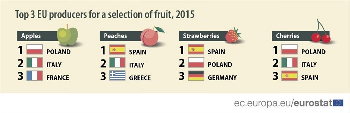 fruits 2015