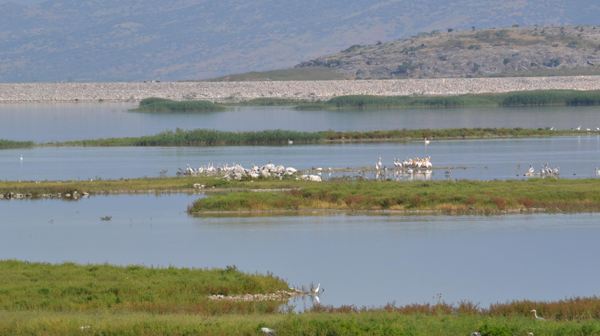 Σήμα ποιότητας με σφραγίδα… Κάρλας!