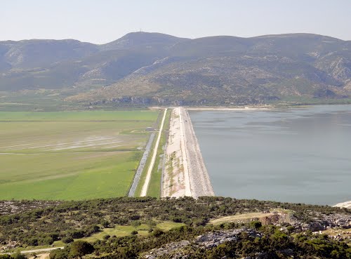 Ξενικά είδη έχουν εισβάλλει στην Κάρλα