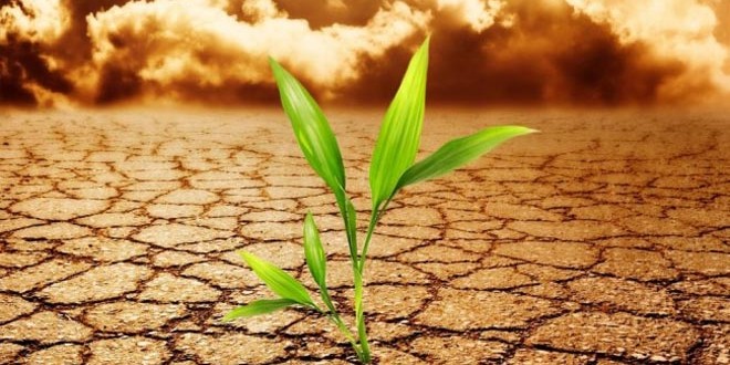 Ηράκλειο: Συνέδριο για την κλιματική αλλαγή και τις επιπτώσεις της