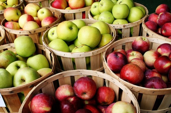 76,9 εκατ. τόνους θα φτάσει η παγκόσμια παραγωγή μήλων