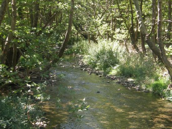 Νεκρός βρέθηκε ο ανήλικος στο Βουραϊκό