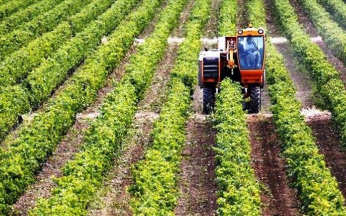 Ημαθία: Ενημέρωση για συμμετοχή στο πρόγραμμα των Νέων Γεωργών Ημαθία: Ενημέρωση για συμμετοχή στο πρόγραμμα των Νέων Γεωργών