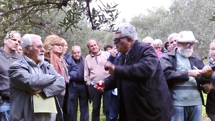 ΑGRON Παραγωγοί στα… θρανία,  ακόμα και μέσα στους ελαιώνες 