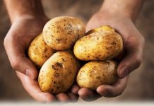 Απάτη σε βάρος των καταναλωτών με «ελληνοποίηση» πατάτας από τη Γαλλία