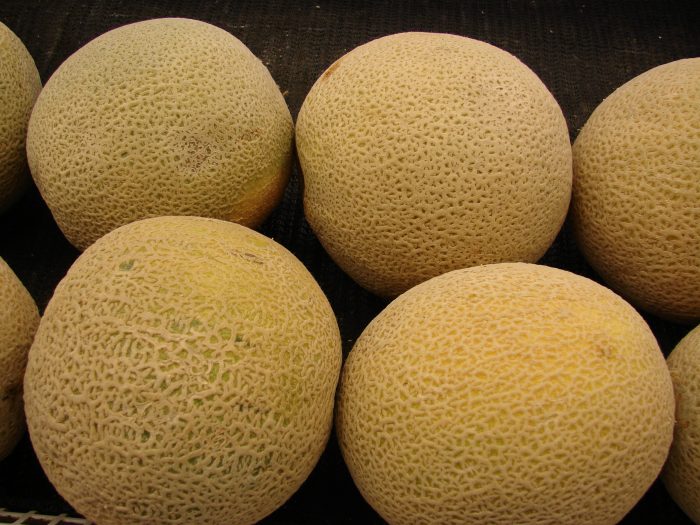 desmefsi-2-tonon-peponion-se-epicheirisi-tou-peiraia-38871