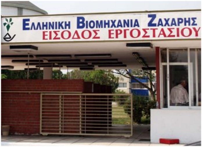 Στρατηγική συνεργασία με ED&F Man η EBZ, στους 30.000 τόνους η παραγωγή