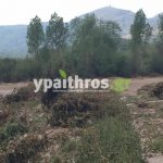 Ανυπολόγιστες οι καταστροφές στις καλλιέργειες της Αρκαδίας