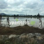 Ανυπολόγιστες οι καταστροφές στις καλλιέργειες της Αρκαδίας