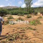 Ανυπολόγιστες οι καταστροφές στις καλλιέργειες της Αρκαδίας