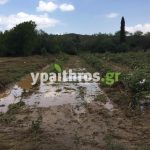 Ανυπολόγιστες οι καταστροφές στις καλλιέργειες της Αρκαδίας