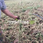 Ανυπολόγιστες οι καταστροφές στις καλλιέργειες της Αρκαδίας